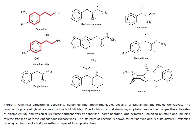 EFFECTIVENESS OF LABETALOL FOR STRESS ATTENUATION IN MODIFIED ECT
